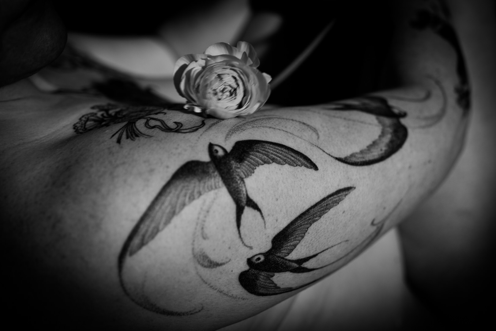 Schulter mit Schwalben-Tattoo und weißer Blüte